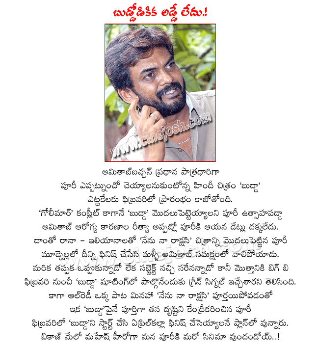 puri jagannadh next film budda with amithab bachchan,big b amitab as budda,puri next film budda shooting details,amitab as budda under puri jagannadh direction,puri film budda on sets from feb,puri jagan latest film nenu naa rakshasi ready for release  puri jagannadh next film budda with amithab bachchan, big b amitab as budda, puri next film budda shooting details, amitab as budda under puri jagannadh direction, puri film budda on sets from feb, puri jagan latest film nenu naa rakshasi ready for release